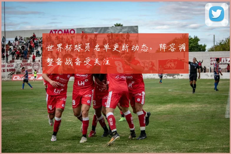 世界杯球员名单更新动态，阵容调整备战备受关注