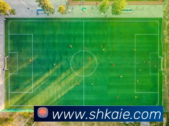 体育数据展示